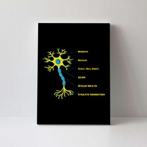 Neuroscientist Nucleus Neurobiologist Neuroscience Biology Canvas