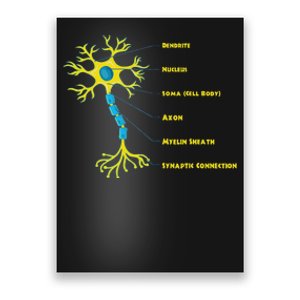 Neuroscientist Nucleus Neurobiologist Neuroscience Biology Poster