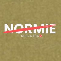 No Normie  Nueva Era En Criptomonedas Garment-Dyed Women's Muscle Tee