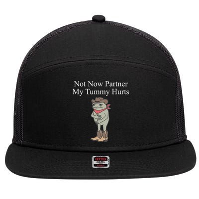 Not Now Partner My Tummy Hurts 7 Panel Mesh Trucker Snapback Hat