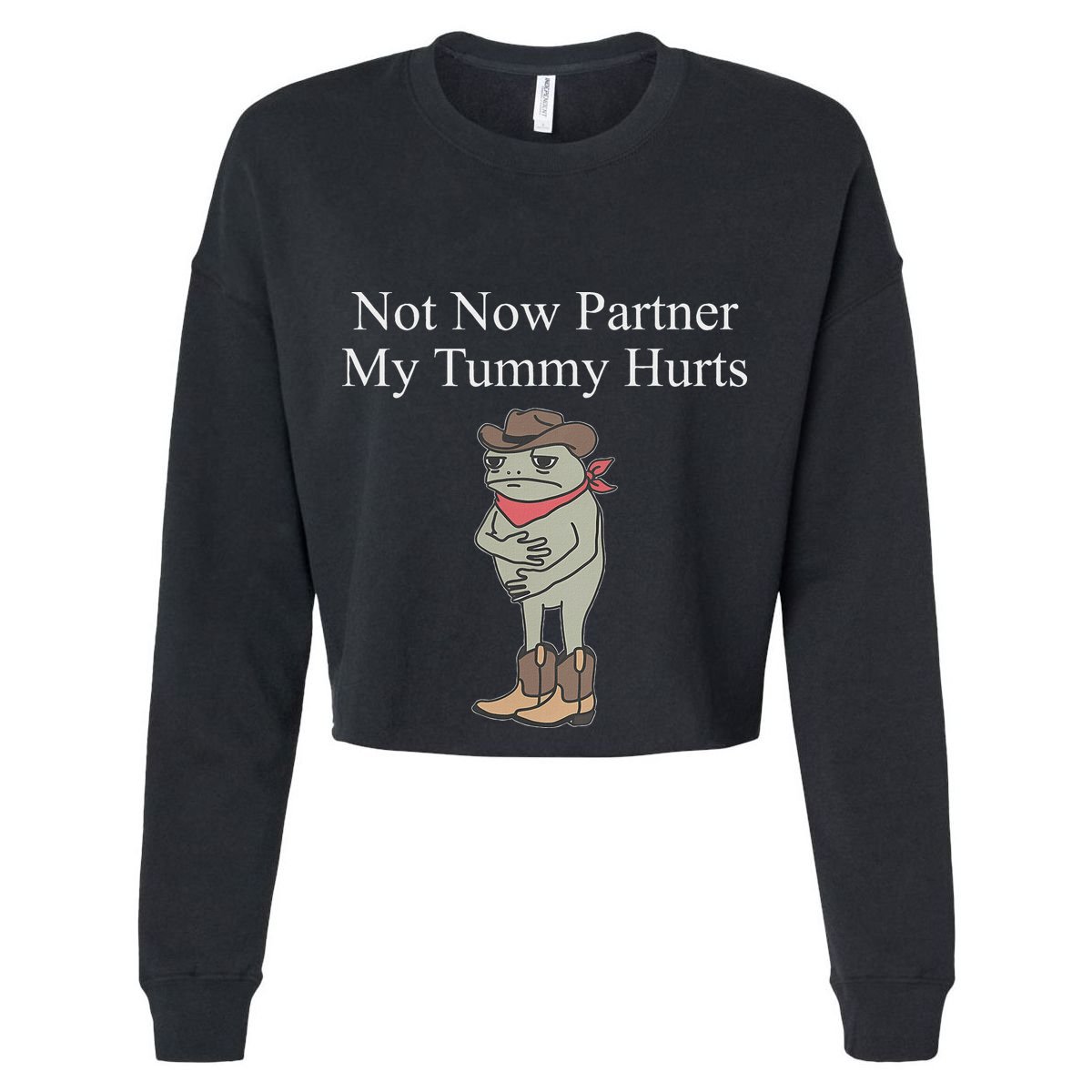 Not Now Partner My Tummy Hurts Flat Bill Trucker Hat