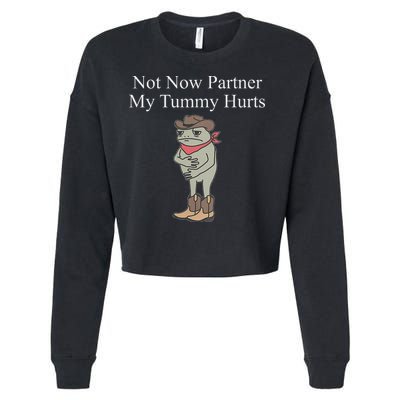Not Now Partner My Tummy Hurts Cropped Pullover Crew