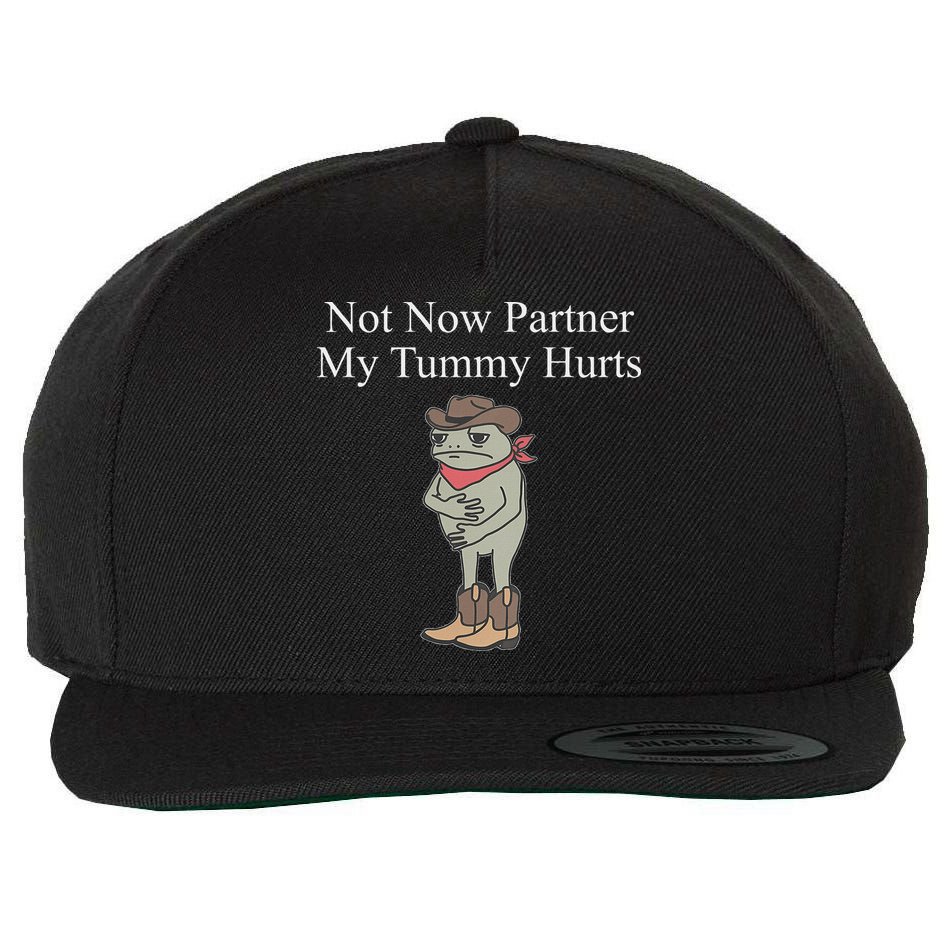 Not Now Partner My Tummy Hurts Wool Snapback Cap
