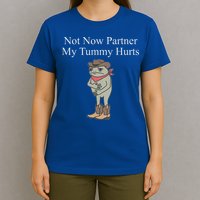 Not Now Partner My Tummy Hurts T-Shirt