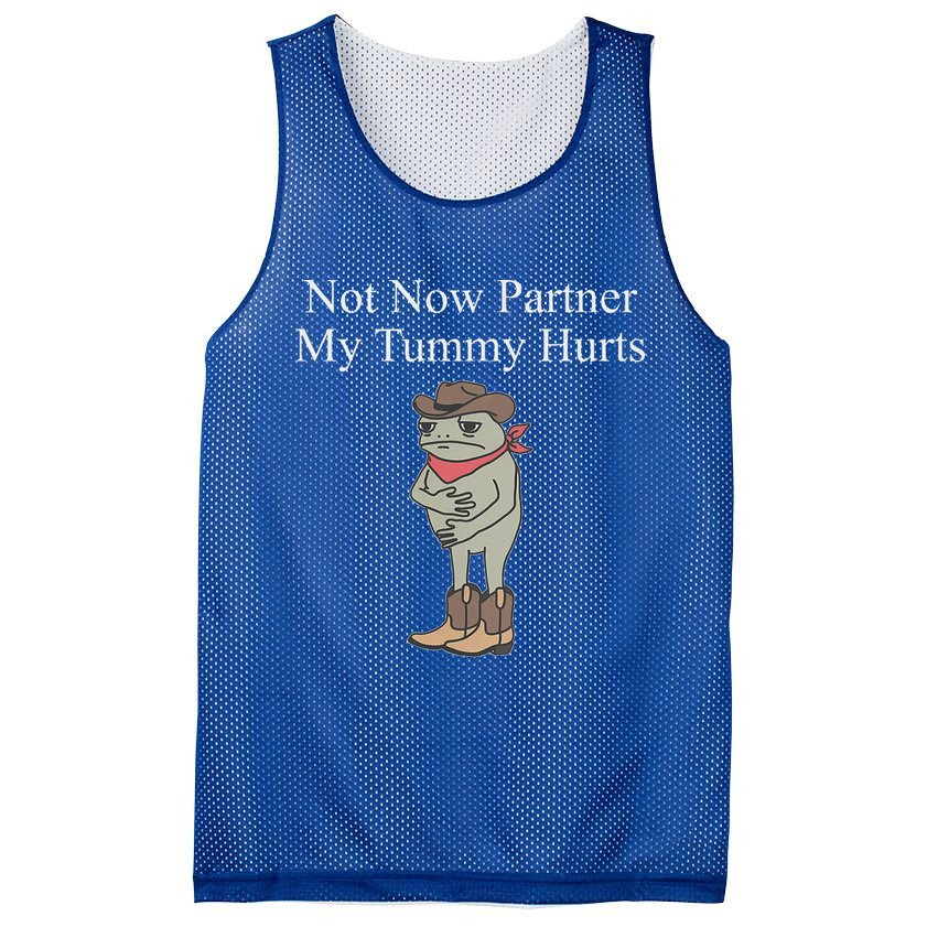 Not Now Partner My Tummy Hurts Mesh Reversible Basketball Jersey Tank