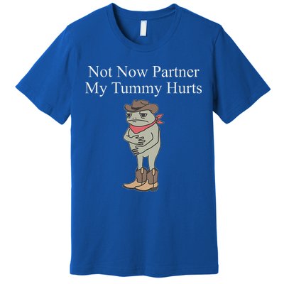 Not Now Partner My Tummy Hurts Premium T-Shirt