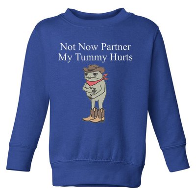 Not Now Partner My Tummy Hurts Toddler Sweatshirt