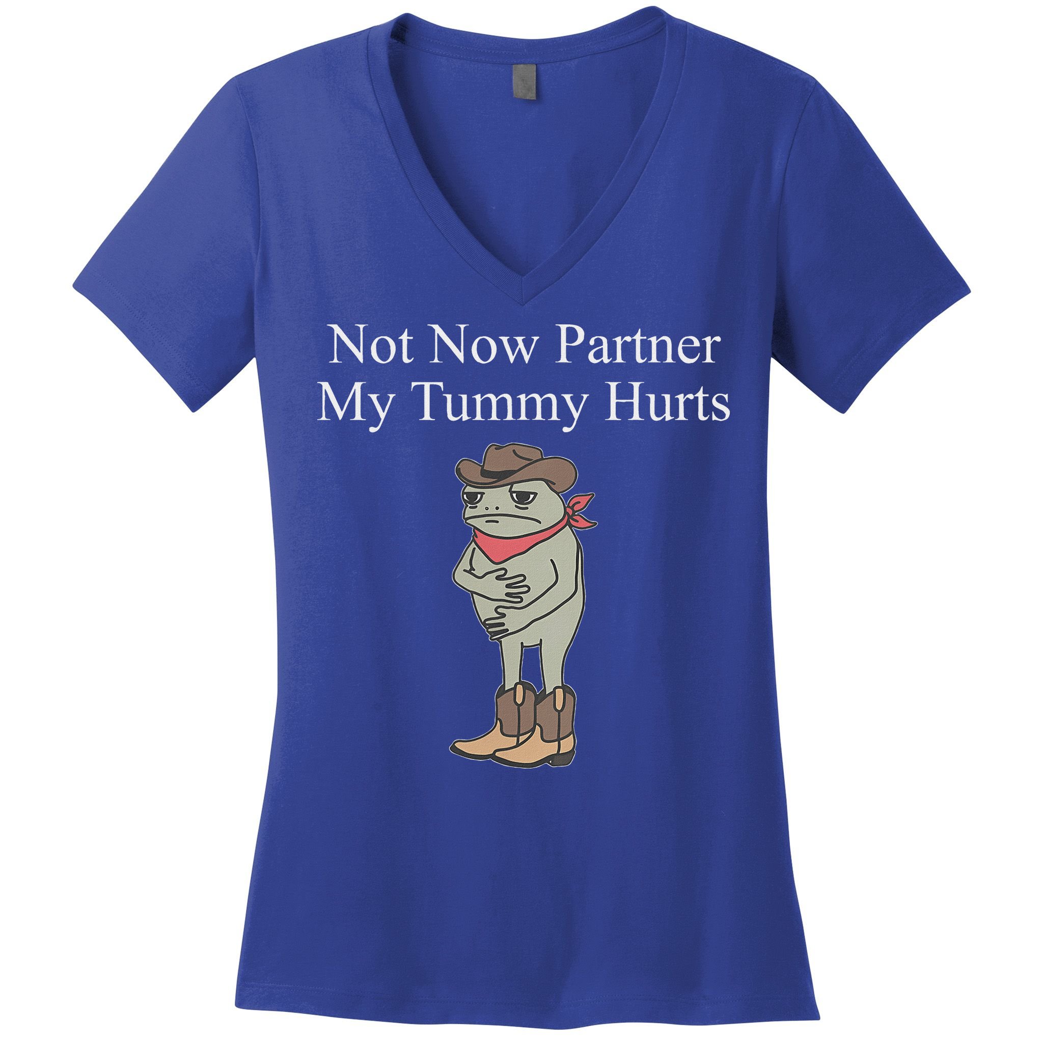 Not Now Partner My Tummy Hurts Women's V-Neck T-Shirt
