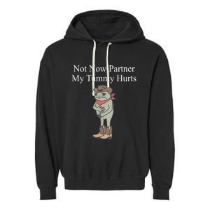 Not Now Partner My Tummy Hurts Design Garment-Dyed Fleece Hoodie