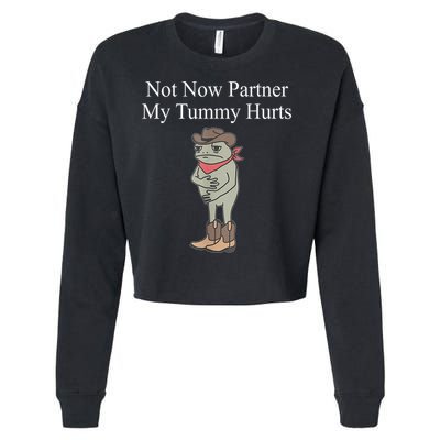 Not Now Partner My Tummy Hurts Design Cropped Pullover Crew