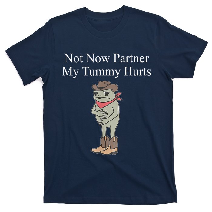 Not Now Partner My Tummy Hurts Design T-Shirt