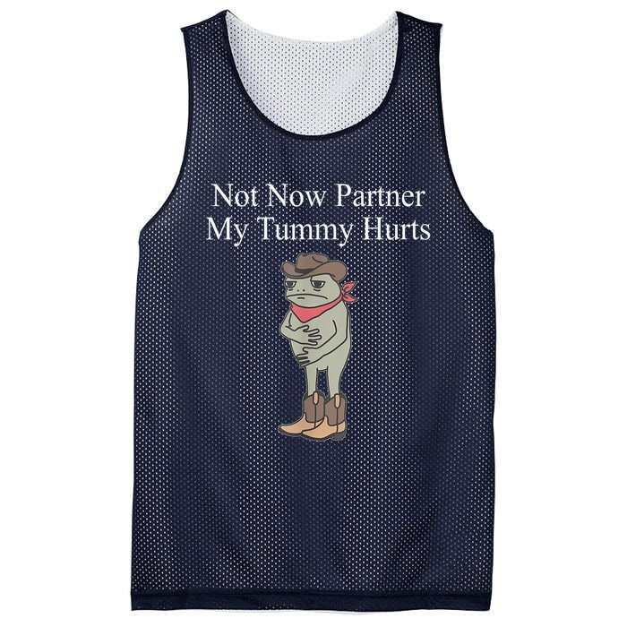 Not Now Partner My Tummy Hurts Design Mesh Reversible Basketball Jersey Tank