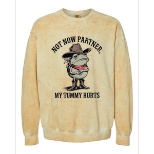 Not Now Partner My Tummy Hurts Design Colorblast Crewneck Sweatshirt