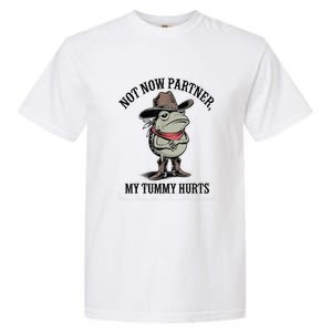 Not Now Partner My Tummy Hurts Design Garment-Dyed Heavyweight T-Shirt