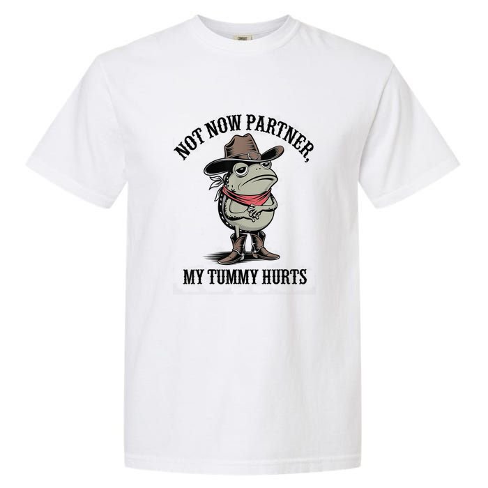 Not Now Partner My Tummy Hurts Design Garment-Dyed Heavyweight T-Shirt