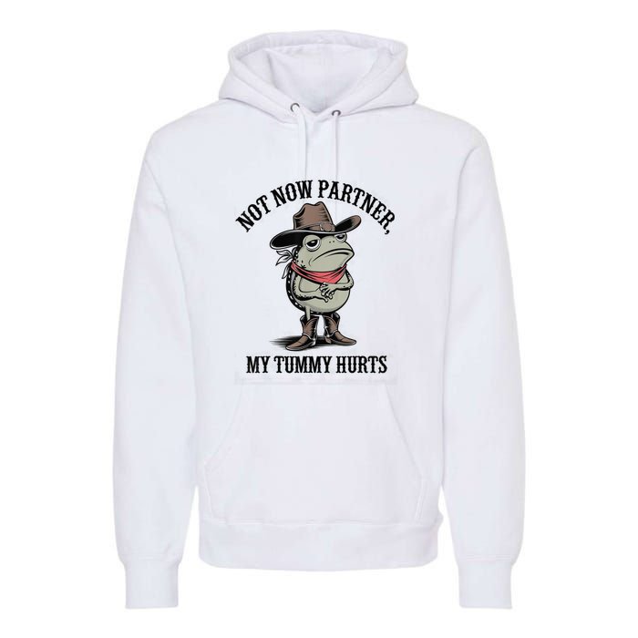 Not Now Partner My Tummy Hurts Design Premium Hoodie