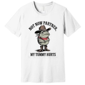 Not Now Partner My Tummy Hurts Design Premium T-Shirt