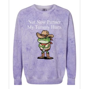 Not Now Partner My Tummy Hurts Design Colorblast Crewneck Sweatshirt