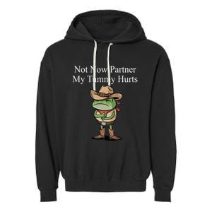 Not Now Partner My Tummy Hurts Design Garment-Dyed Fleece Hoodie