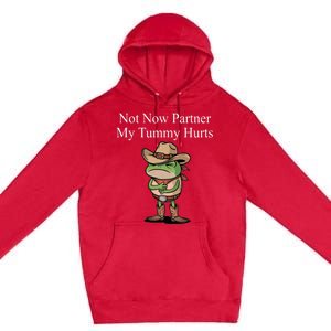 Not Now Partner My Tummy Hurts Design Premium Pullover Hoodie