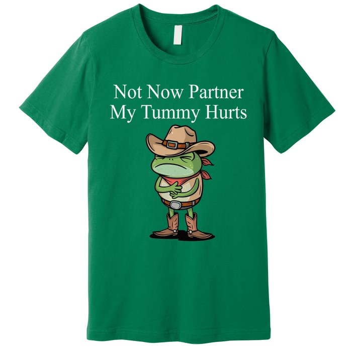 Not Now Partner My Tummy Hurts Design Premium T-Shirt