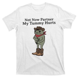 Not Now Partner My Tummy Hurts Funny Meme T-Shirt