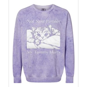 Not Now Partner My Tummy Hurts Funny Cat Design Cat Lovers Colorblast Crewneck Sweatshirt