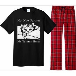 Not Now Partner My Tummy Hurts Funny Cat Design Cat Lovers Pajama Set