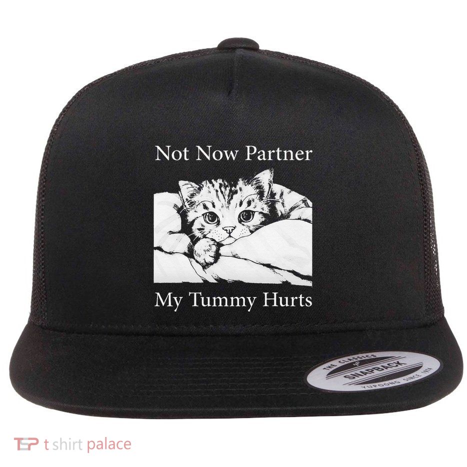 Not Now Partner My Tummy Hurts Funny Cat Design Cat Lovers Flat Bill Trucker Hat