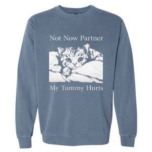 Not Now Partner My Tummy Hurts Funny Cat Design Cat Lovers Garment-Dyed Sweatshirt