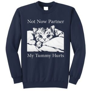 Not Now Partner My Tummy Hurts Funny Cat Design Cat Lovers Sweatshirt