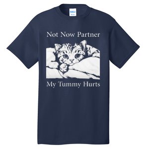 Not Now Partner My Tummy Hurts Funny Cat Design Cat Lovers Tall T-Shirt