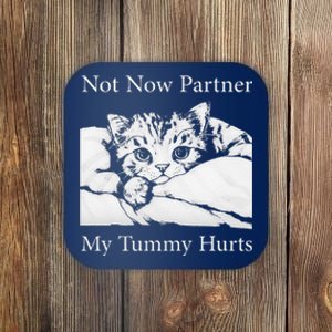 Not Now Partner My Tummy Hurts Funny Cat Design Cat Lovers Coaster