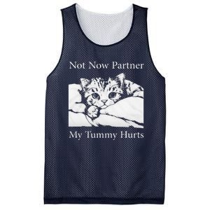 Not Now Partner My Tummy Hurts Funny Cat Design Cat Lovers Mesh Reversible Basketball Jersey Tank