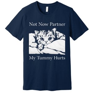 Not Now Partner My Tummy Hurts Funny Cat Design Cat Lovers Premium T-Shirt