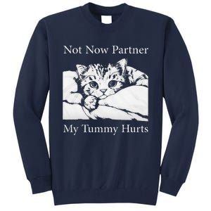 Not Now Partner My Tummy Hurts Funny Cat Design Cat Lovers Tall Sweatshirt