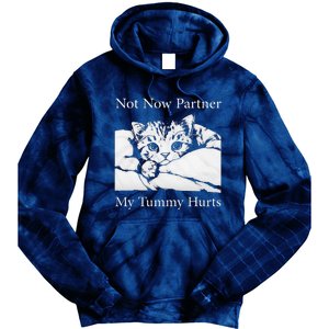 Not Now Partner My Tummy Hurts Funny Cat Design Cat Lovers Tie Dye Hoodie