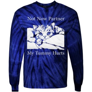 Not Now Partner My Tummy Hurts Funny Cat Design Cat Lovers Tie-Dye Long Sleeve Shirt