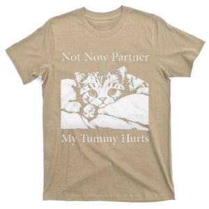 Not Now Partner My Tummy Hurts Funny Cat Design Cat Lovers T-Shirt