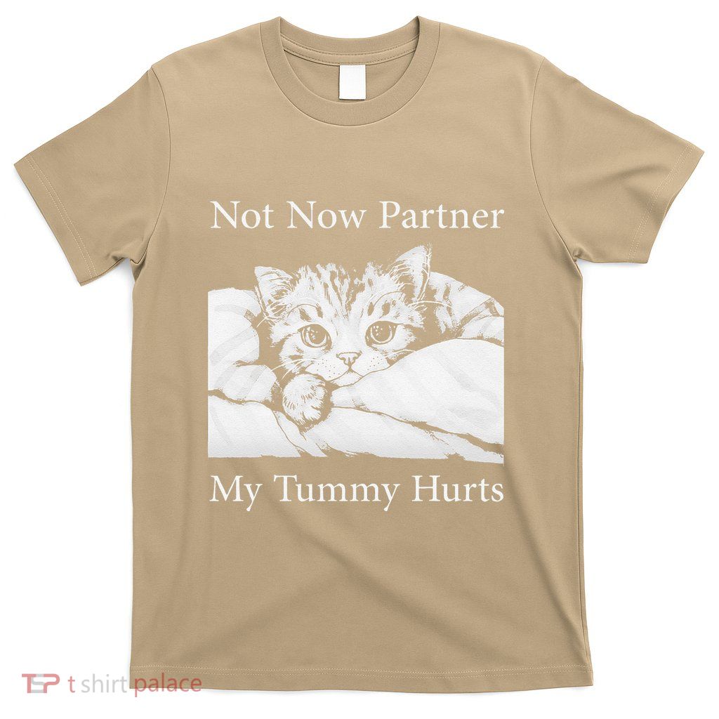 Not Now Partner My Tummy Hurts Funny Cat Design Cat Lovers T-Shirt