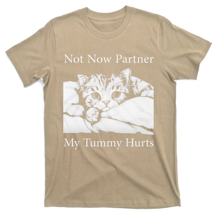 Not Now Partner My Tummy Hurts Funny Cat Design Cat Lovers T-Shirt