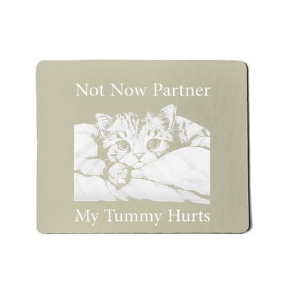 Not Now Partner My Tummy Hurts Funny Cat Design Cat Lovers Mousepad