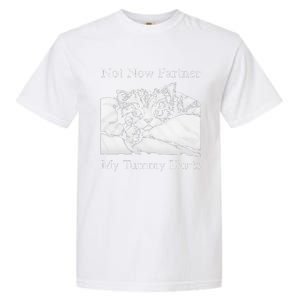 Not Now Partner My Tummy Hurts Funny Cat Design Cat Lovers Garment-Dyed Heavyweight T-Shirt