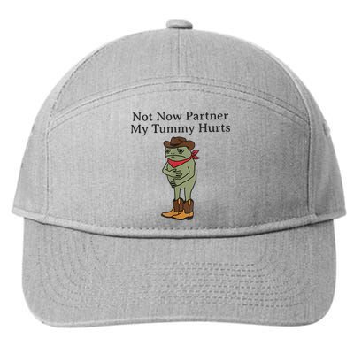 Not Now Partner My Tummy Hurts Funny Frog 7-Panel Snapback Hat