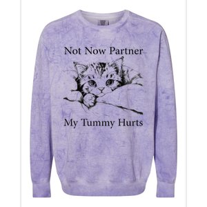 Not Now Partner My Tummy Hurts Funny Cat Design Cat Lovers Colorblast Crewneck Sweatshirt