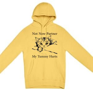 Not Now Partner My Tummy Hurts Funny Cat Design Cat Lovers Premium Pullover Hoodie