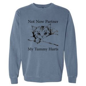 Not Now Partner My Tummy Hurts Funny Cat Design Cat Lovers Garment-Dyed Sweatshirt