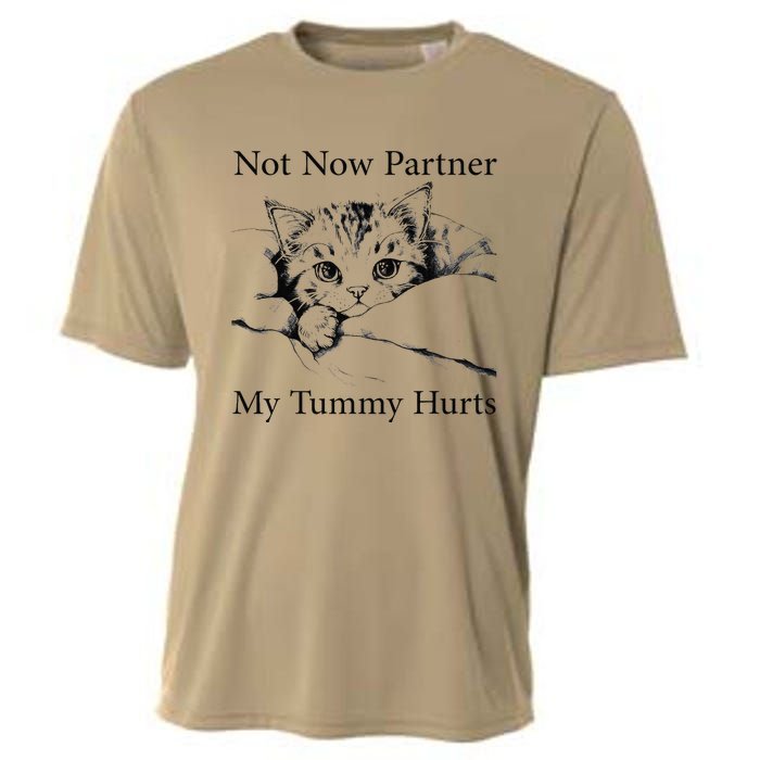 Not Now Partner My Tummy Hurts Funny Cat Design Cat Lovers Cooling Performance Crew T-Shirt