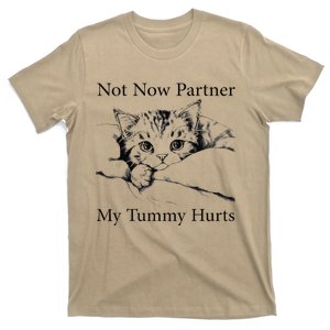 Not Now Partner My Tummy Hurts Funny Cat Design Cat Lovers T-Shirt