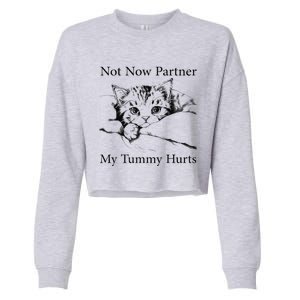 Not Now Partner My Tummy Hurts Funny Cat Design Cat Lovers Cropped Pullover Crew